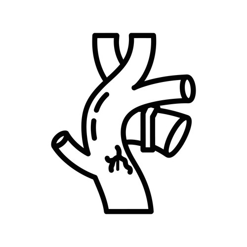 Anatomical of a human hand with focus Vector Image