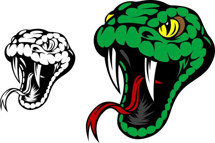 head of danger aggressive snake vector image