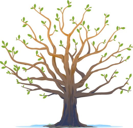 Big Oak Tree Vector 54,015 Oak Tree Stock Photos, High Res Pictures,