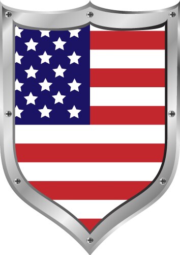 Usa flag button Vector Image