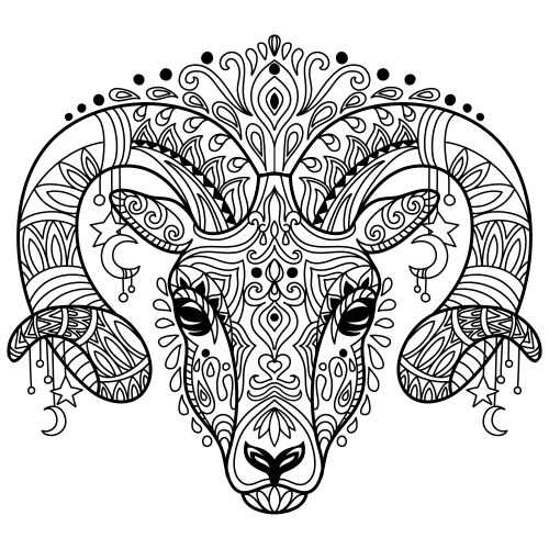 Tangle Ram Coloring Page - Adult Zentangle Vector Image