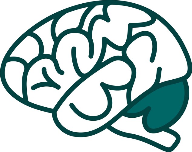 Simple icon human brain Royalty Free Vector Image