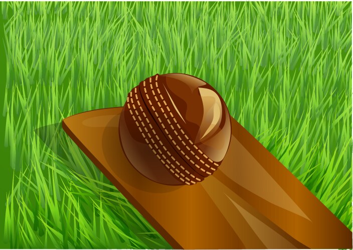 Cricket Fielding Vector Images (over 3,400)