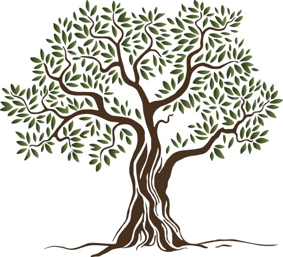 Olive tree square frame border green olives Vector Image