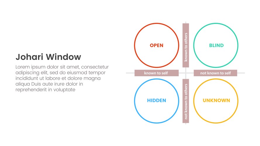 Johari window model framework matrix structure vektorbild