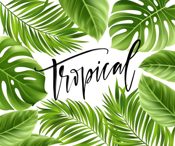 Tropical Palm Leaf Poster Vector Image