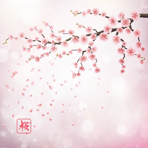 Realistic japan cherry branch eps 10 Vector Image