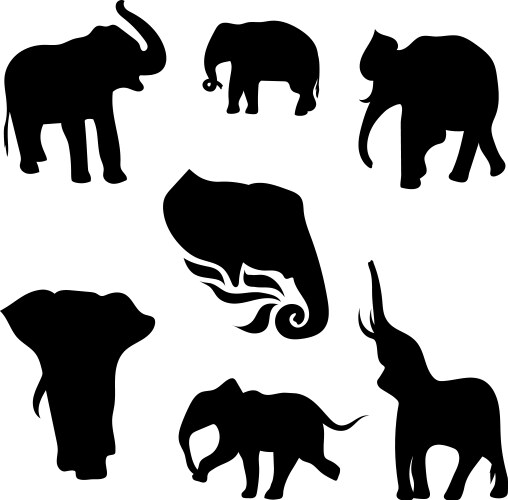 Elephantset Vector Image