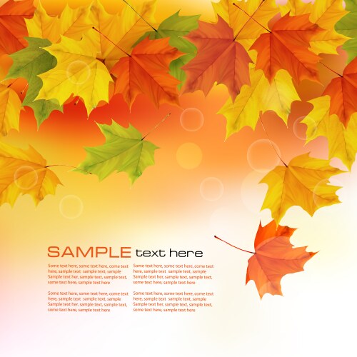 Autumn leaf background Royalty Free Vector Image
