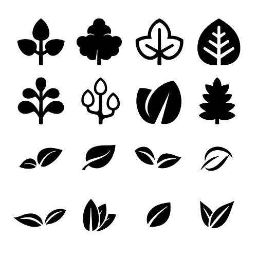 Leaf icon set white background leaves – Royalty-Free Vector | VectorStock