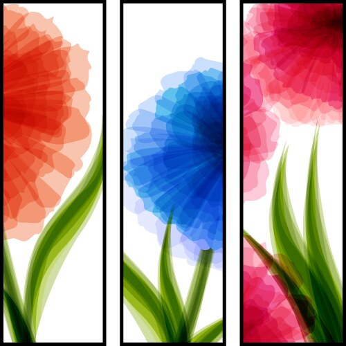 three vertical banners with transparent flowers vector image