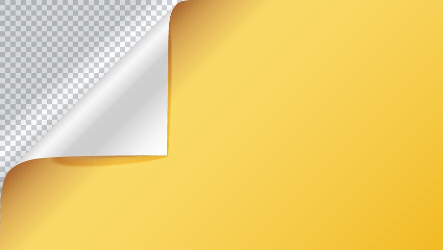 Page curl with shadow on blank sheet of paper vector image