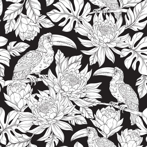 Seamless line art pattern with toucan bird Vector Image