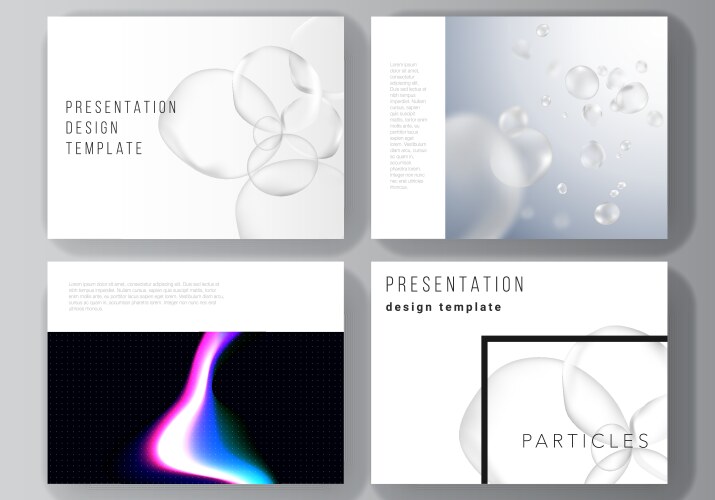 layout of the presentation slides vector image