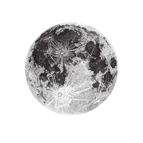 Moon image on white background hand drawn Vector Image