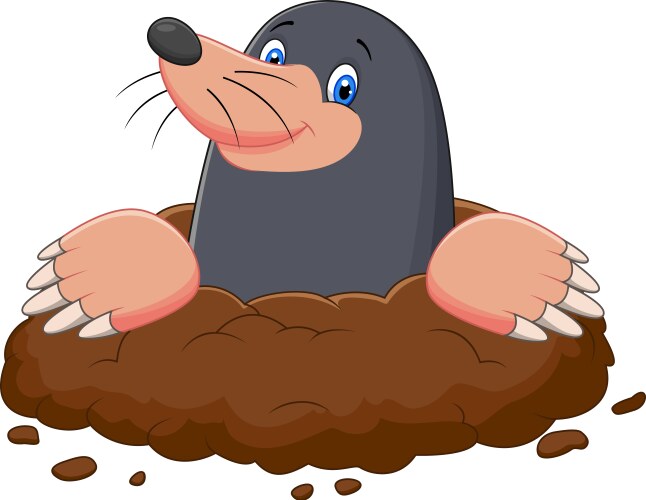 Cute Cartoon Mole in Dirt Vector Image