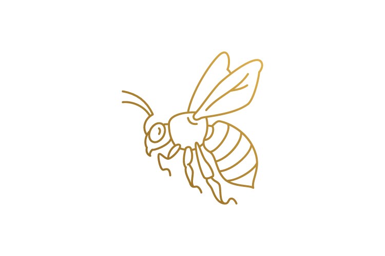 Golden wasp silhouette linear style Vector Image