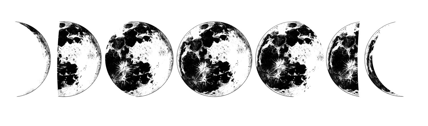 Phases of the moon in solar system Vector Image