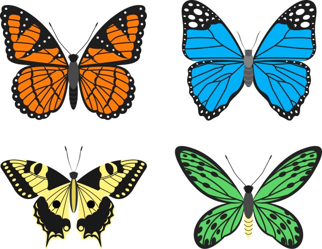 butterflies vector