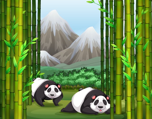 Panda in the bamboo forest Royalty Free Vector Image