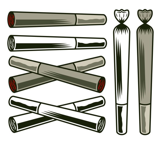 Smolder joints or cigarettes with marijuana Vector Image