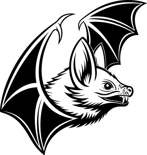 Black bat design Royalty Free Vector Image - VectorStock