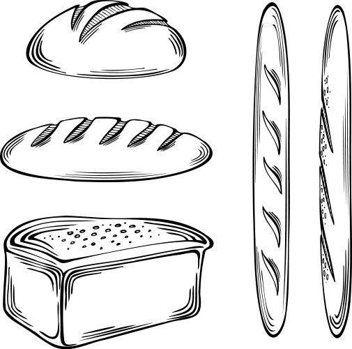 Bread bakery products set graphics Royalty Free Vector Image