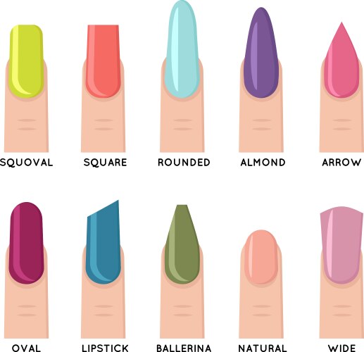 Fashion trend female nail manicure shape forms vector image