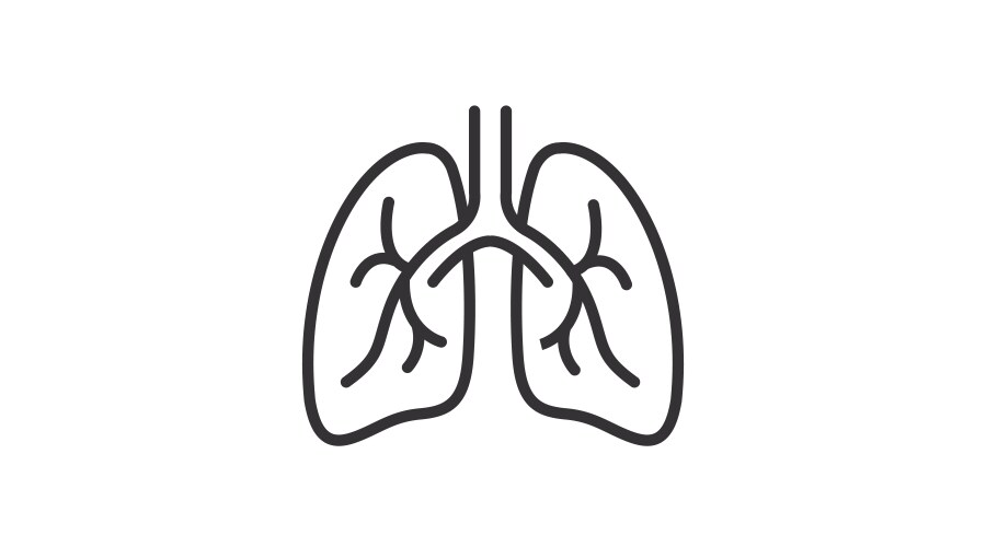Hand drawn lungs doodle style internal organs Vector Image