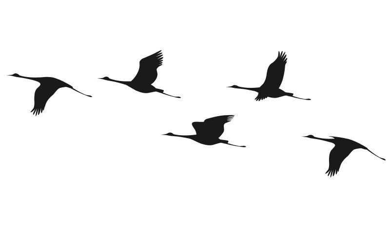 Cranes in Flight Silhouette Vector Image