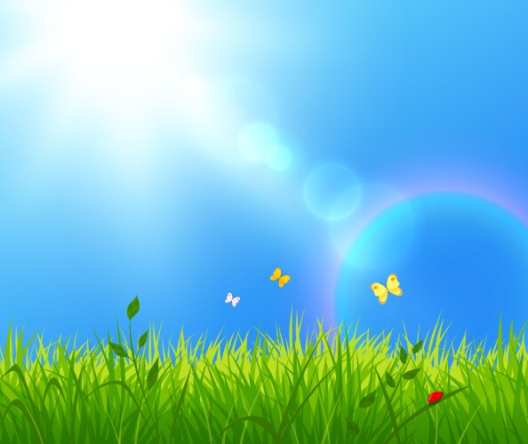Sunny day landscape Royalty Free Vector Image - VectorStock