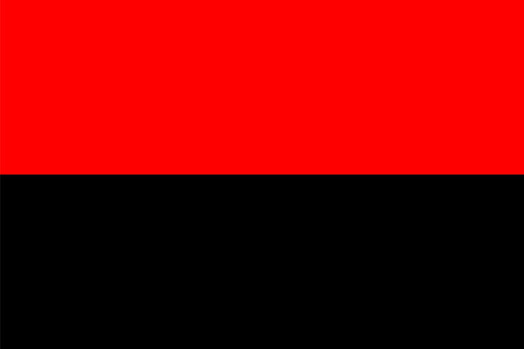Red-and-black flag of ukrainian insurgent army Vector Image