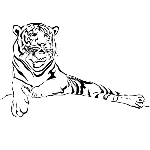 Black and White Tiger Stripes Vector Image