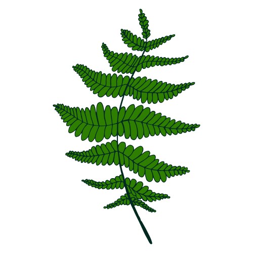 Green fern leaf isolated pattern Vector Image