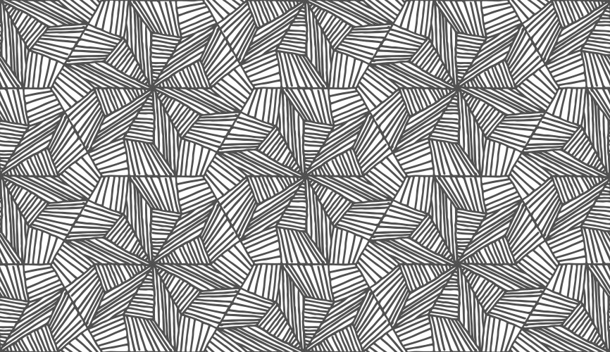 Lines hexagonal pattern in abstract style on white vector image