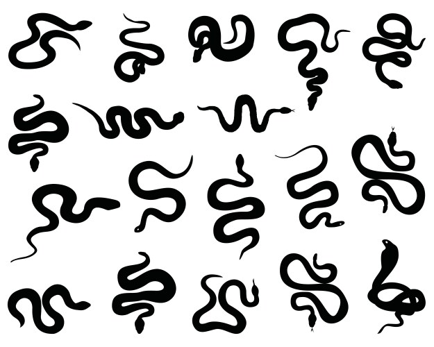 Set of snakes Royalty Free Vector Image - VectorStock