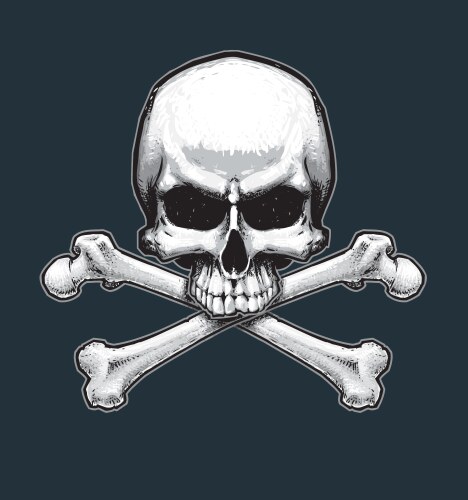 Pirates jawless skull and bones vector image