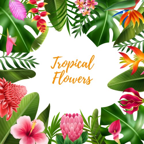 Orchid flowers realistic colorful set Royalty Free Vector