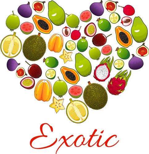 heart of exotic fruits poster for food design vector image