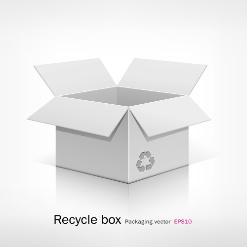 Boxes Clean Vector Blank white product package box container pack Vector Image
