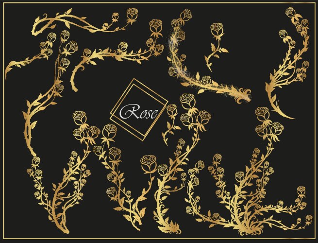 Set golden roses on a black background Vector Image