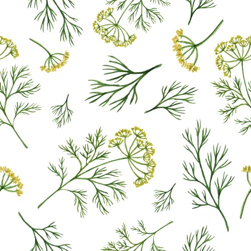 Dill Herb Watercolor Pattern Vector Image