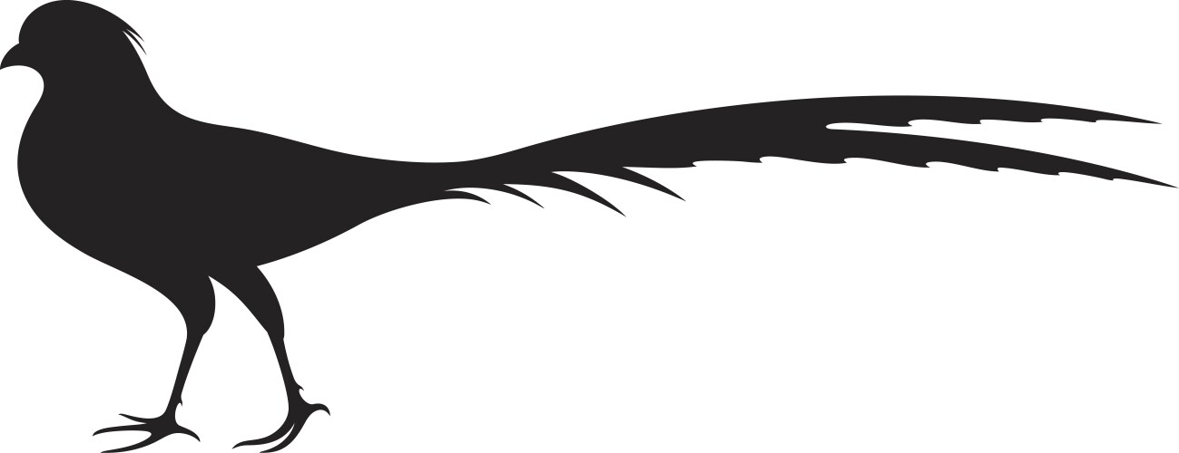 Pheasant Silhouette Vector Image