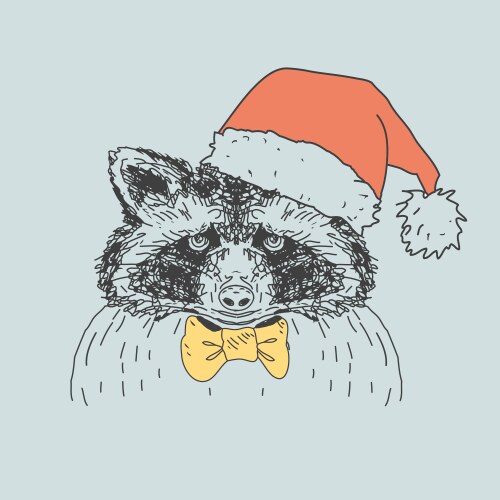 Hand drawn wild raccoon Vector Image