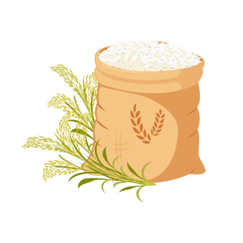 Canvas bag filled with rice groats grain harvest Vector Image