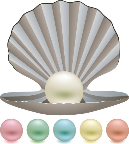 Shell with pearl clam oyster 3d icon Royalty Free Vector