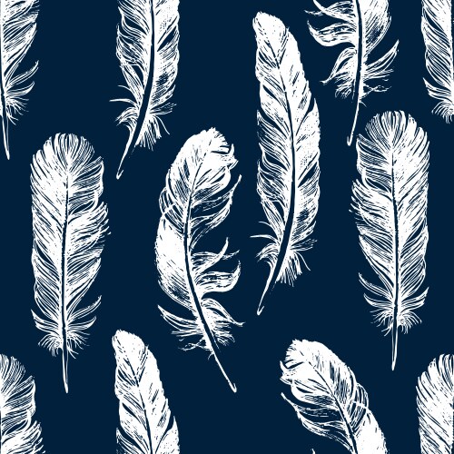 Seamless pattern with hand drawn feathers Vector Image