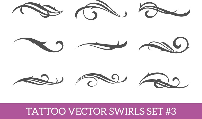 Calligraphic swirls set vector image