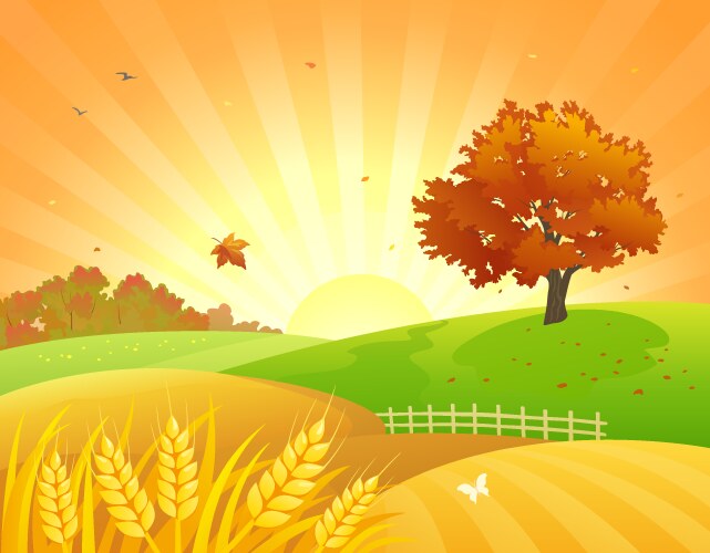 Fall fields Royalty Free Vector Image - VectorStock