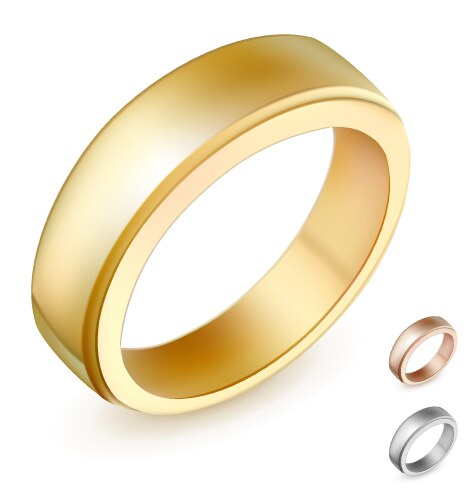 Elegant Gold Wedding Ring Set Royalty Free Vector Image